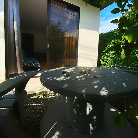 Anluka Estudio Puerto Jiménez Екстериор снимка